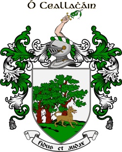 O'Callaghan family crest