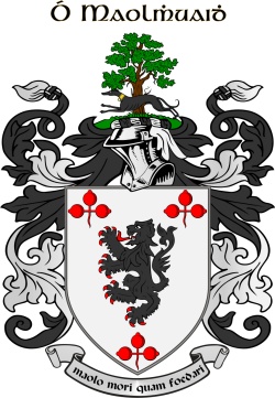 Molloy family crest Molloy family crest