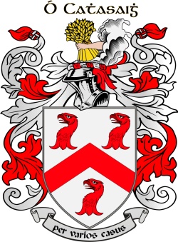 Casey family crest